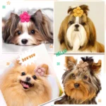 10PCS Solid Color Pet Dog Bows Puppy Flower Hair Bows Rubber Bands for Dogs Cute Cat Dog Bows Hairwear Dog Hair Accessories - Image 2