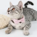 Cute Cat Collar with Bow Tie Adjustable Design Pet Dogs Cats Puppy Necklace Pet Supplies - Image 2