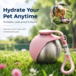 Portable pet water bottle stainless steel spherical leak proof bowl pet cup with silicone lid and cord easy to clean and store
