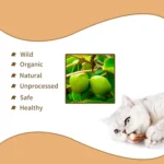 Teeth Molar Silvervine Sticks for Cats Natural Catnip Chew Toys, Safe Non Toxic Dental Cleaning Chewing Gifts for Kitten Lovers - Image 3