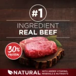 True Instinct Lean Muscle Support With Real Beef Natural With Added Vitamins, Minerals and Nutrients High Protein Dog Food, 15 l - Image 4
