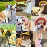 Pets Hat with Ear Holes Adjustable Baseball Cap for Medium Small Dogs Summer Dye Cats Sun Cap Pet Outdoor Hat Pet Supplies - Image 4