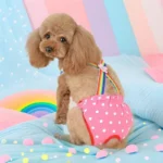 Female Dog Sanitary Panties Breathable Strap Type Reusable Washable Pet Diaper Shorts Summer Thin Heat Period for Teddy Dogs