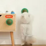The Catnip Cat Wall Stick-on Ball Toy Scratchers Treats Healthy Natural Removes Balls to Promote Digestion Cat Grass Snack - Image 3
