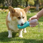 Portable Pet Water Bottle 300ml BPA Free Outdoor Leakproof Dog Travel Water Dispenser Drinking Bowl for Walking Hiking Camping - Image 5