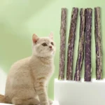 20pcs Natural Matatabi Cat Catnip Toy Kitten Molar Chew Stick Pet Cleaning Teeth Cat Treat Toy Actinidia Silvervine Pet Products - Image 6