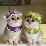 Cute Cat Hat Scarf Set Funny Pet Party Cosplay Headwear Delicate Hemming Pendant Decor Elasticity Knitted Hat Scarf Pet Supplies - Image 2
