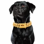 Gold Dog Collar Stainless Steel Metal Pet Choker Silver 19mm Wide Lead for Medium Large Dogs French bulldog Labrador Retriever - Image 2