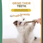 100pcs/lot Natural Matatabi Pet Cat Snacks Sticks Cleaning Tooth Catnip Cat Toys Actinidia Silvervine Pet Toy For Cats - Image 4