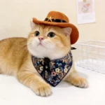 Pet Cowboy Hat with Bandana Western Style Star Decor for Cats Dogs Small Large Sizes Party Cosplay Costume - Image 3