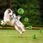 New Hot Wobble Wag Giggle Glow Ball Interactive Dog Attention Toy Fun Giggle Sounds Ball When Rolled or Shaken for Pet Dog Fun - Image 6