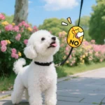 1PCS Dog Leash Warning Patches - Interactive Hook & Loop Dog/Cat Alert Tags for "No Touch", "No Feed" Messages - Image 3