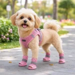 4Pcs Cute Mesh Dog Shoes Soft-sole Non-slip Cooling Dog Boots Elastic Strap Wear-resistant Dog Foot Cover For Small Medium Pets - Image 3