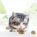Natural Catnip Cat Wall Stick-on Ball Toy Treats Healthy Natural Removes Hair Balls to Promote Digestion Cat Grass Snack Pet - Image 2