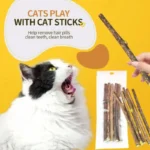 100pcs/lot Natural Matatabi Pet Cat Snacks Sticks Cleaning Tooth Catnip Cat Toys Actinidia Silvervine Pet Toy For Cats - Image 2