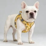 DH009Cartoon-Dog harness and leash set features a breathable honeycomb mesh design to prevent overheating and sweating. - Image 6