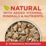 Natural wet dog food with high protein lamb and brown rice in 13 oz can - Image 3
