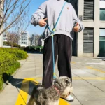 Reflective Nylon Leashes Pet Dogs Chain Traction Rope Leads for Running Dog Walking Free Hands Rope Chain for Small Large Dogs - Image 2