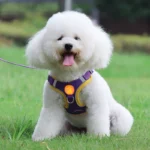 Small Medium Dogs Harness Vest Walking Traction Rope Reflective Straps, Soft Mesh Harness Breathable Pet Supplies - Image 6