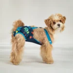 Unisex Pet Physiological Pants Underwear Girl Dog Diaper Strap Briefs Female Sanitary Panties Shorts for Dogs mascotas Supplies - Image 4