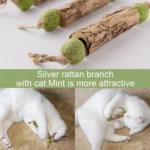 1pc Cat Cleaning Teeth Pure Natural Catnip Cat Molar Toothpaste Stick Silvervine Actinidia Fruit Matatabi Cat Snack Stick - Image 3