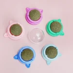 Cats Catnip Cat Toy Natural Ball Removal Cat Grass Treats to Improve Digestion Wall Sticker Scratch Itchy Treat Healthy Supplie - Image 6