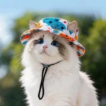 1PC Pet Sun Hat Adjustable Pet Sun Hat Cat Dog Breathable Dog Sunshade Hats Outdoor Travel Pet Fisherman Hat Sun Protection - Image 4