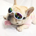 Pet Adjustable Dog Goggles Sunglasses Anti-UV Sun Glasses Eye Wear Protection Black Widely Used Dog Sunglasses Pet Dog Supplies - Image 2