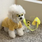 Love Pet Glasses Dog Cat Creative Fashion Sunglasses Sunglasses with Jewelry Cat Dog Love Glasses Pet Beauty Decoration Supplies - Image 3