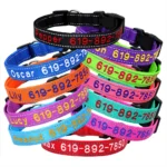 Adjustable Nylon Embroidered Dog Collar Custom ID Name Accessories Pet Collars For Small Medium Large Dogs Pets Supplies Perro - Image 4