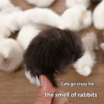 2Pcs Natural Rabbit Tail Cat Toy, Scented Plush Chew Toy For Indoor Cats Enrichment,Soft Cat And Dog Universal Toy Interactive - Image 4