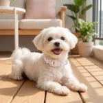 Cute Floral Dog Collar for Small Medium Large Dogs Pink Rose Cotton Pet Collar Buckle Spring Summer Girl Puppy Kitten Neck Strap - Image 6