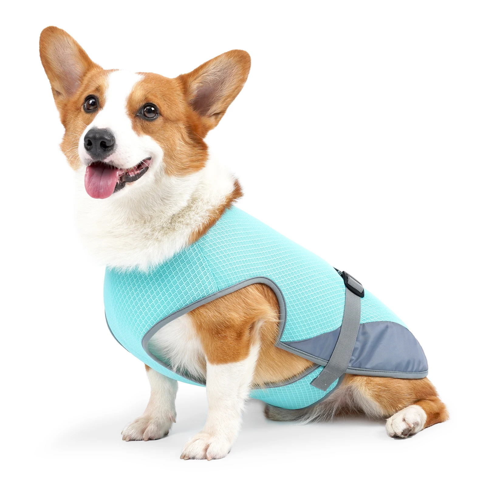 kf-Sa6d4d7e06fce4a1c83d032d96fcb37722 Cooling Vest - Breathable Dog Vest for Hot Summer Days - Adjustable & Lightweight Cooling Jacket with Reflective Strips - Image 1