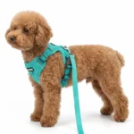Reflective Breathable Dog Harness and Leash Set Pet Chest Strap Dopamine Pet Supplies Dog Accessories for Small Dogs