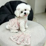 2026 Bichon Cherry Princess Skirt Anti shedding Small Dog Clothes Yorkshire Breathable Strap Popular Teddy Skirt - Image 4