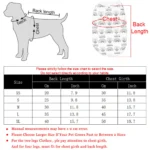 Breathable Dog Clothes For Small Medium Dogs Cats Summer Creative Rainbow Print Puppy Vest T-shirt Schnauzer Pug Pet Costume - Image 6
