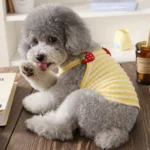 Fashion Dog Vest Suspender Dog Vest Chihuahua Bichon Breathable Thin Shirt Puppy Cat Casual Shirt Summer Pet Costume - Image 4