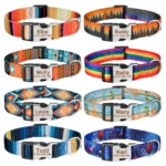 Personalized Dog Collar Custom Engraved Name ID Tag Nameplate Adjustable Small Large Medium Puppy Pet Dogs Collars