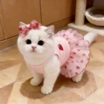 1PC Cute Pet Dog Dress for Small Dogs Thin Puppy Princess Skirt Dog Summer Clothes Chihuahua York Clothing Pet Supplies - Image 5