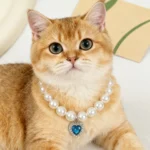 Princess Style Pet Pearl Collar for Dogs Cats - Cute Jewelry Accessory for Puppy Kitten Chihuahua Perfect Wedding Gift - Image 4