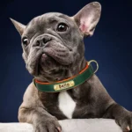 Personalized Leash Custom Dog Collar PU Leather Pet Dog Tag Collars Free Engraved Nameplate For Small Medium Large Dogs Pitbull - Image 4