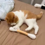 30cm Giant Q-tip Cat Toy with Catnip, Large Size Durable Cotton Felt Swab Kitten Teaser Teeth Cleaning Grinding Biting Stick - Image 5