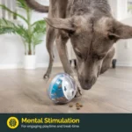 IQ Treat Ball Dog Treat Dispenser Toy Ball Interactive Dog Toy - 4" Dog Food Toy Stimulation, Slow Feeder - Image 5