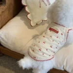 1pc Cute cherry print pet tank top, soft and skin friendly pet clothing - Image 5