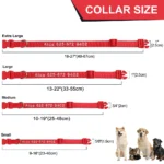 Embroidered Nylon Dog Collar Personalized Puppy Cat Collars Reflective Pet ID Collars DIY Phone Name ID For Small Large Dog Cat - Image 11