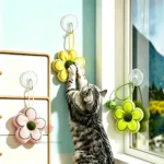 Natural Catnip Healthy Pet Cat Toy Wall Stick-on Ball Cats Teeth Cleaning Catnip Ball Toys Cat Snacks Kitten Cat Catnip Toy - Image 2