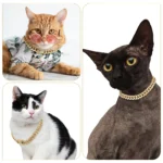Pet Dog Collar Cat Cuban Chain Diamond Walking Metal Chain Collar with Design Secure Buckle Jewelry Accessories Cuban Collar - Image 3
