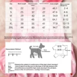 Summer Lantern Dress for Dogs Cats Thin Breathable Pet Clothes Cute Puppy Outfit for Schnauzer Small Dogs Pet Dress Clothing - Image 2