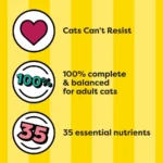 4 pack Tasty Chicken Flavor Dry Cat Food, 3.15 Lb Bag - Image 6