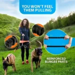 Dual Dog Leash Coupler - Comfort Padded Handles, No-Tangle, No-Pull Bungee Leash - 360° Swivel, Reflective, Shock Absorbing - Pe - Image 8
